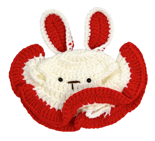 Red-Eared Bunny Crochet Hat
