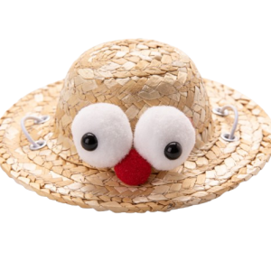 Googly Eyes Straw Hat