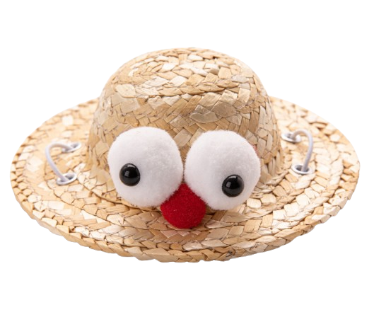 Googly Eyes Straw Hat