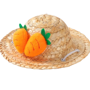 Cute Carrot Straw Hat