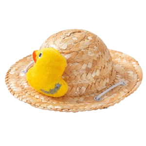 Little Duckling Straw Hat