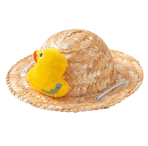 Little Duckling Straw Hat