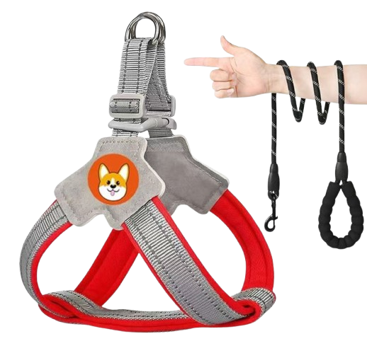 ComfyStep Adjustable Harness & Leash Set