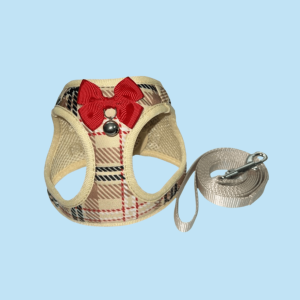 Pet Harness & Leash Set