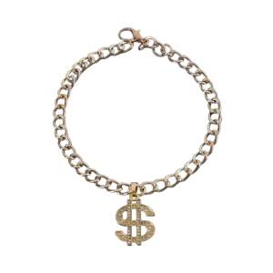 Gold Chain with Dollar Sign