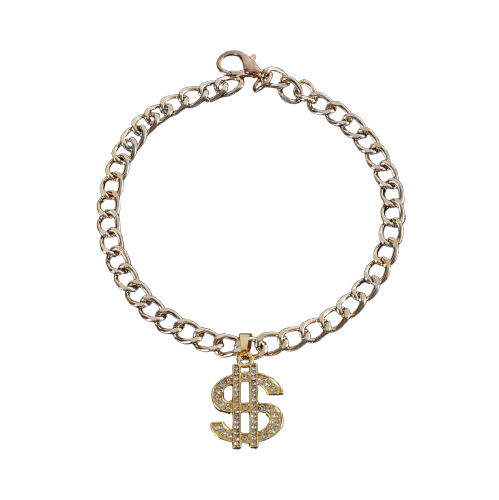 Gold Chain with Dollar Sign