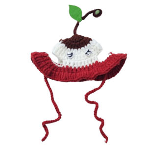 Red Apple Crochet Hat
