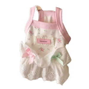 Pastel Floral Lace Dress