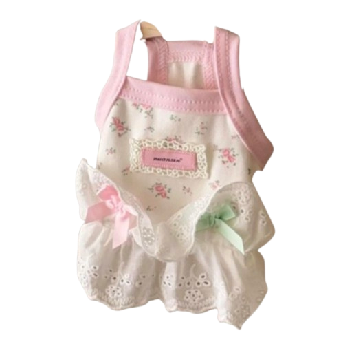 Pastel Floral Lace Dress