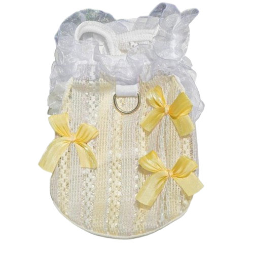 Yellow Ribbon Lace Dress