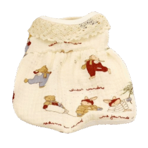 Winter Wonderland Lace Collar Dress