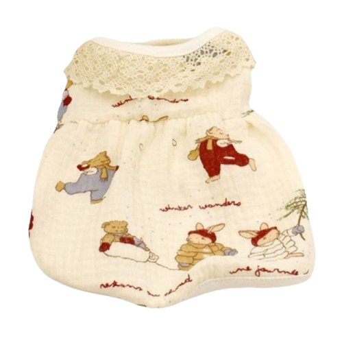 Winter Wonderland Lace Collar Dress