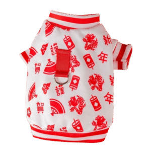 Prosperity Dragon Sleeve Top