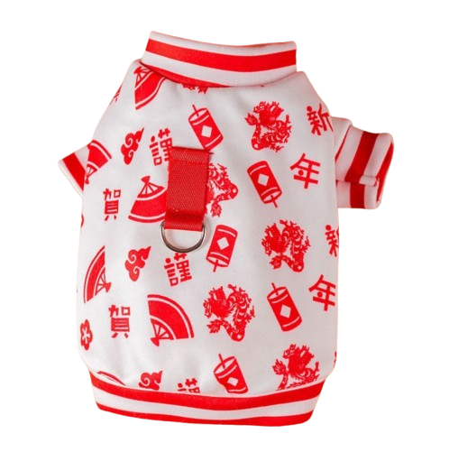 Prosperity Dragon Sleeve Top