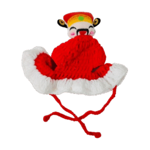 God Of Wealth Crochet Hat