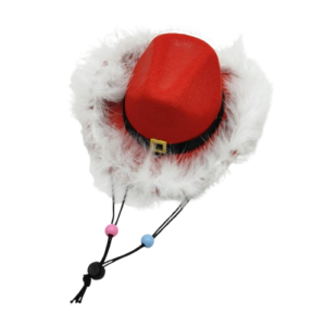 Furry Christmas Santa Hat