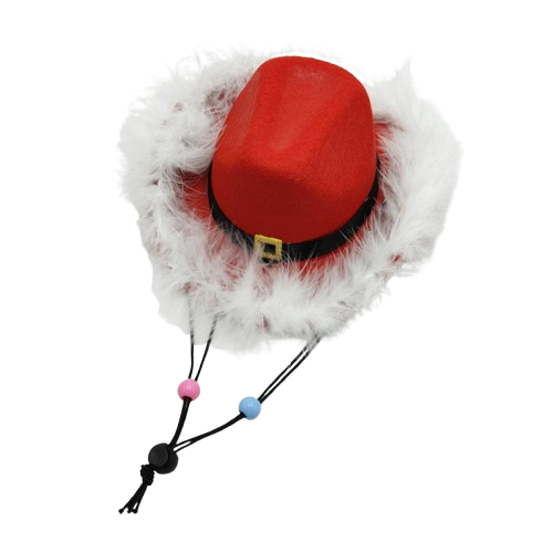 Furry Christmas Santa Hat