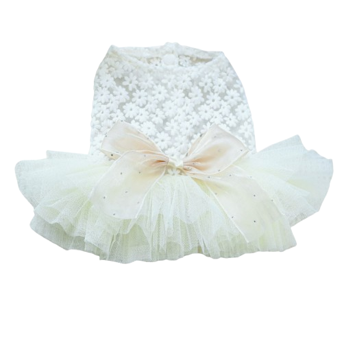 Little Princess Lace Dress