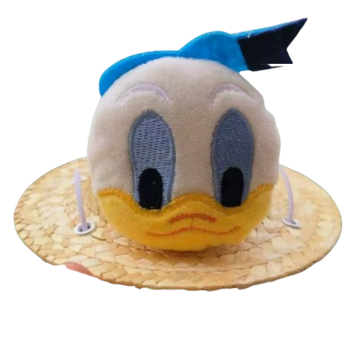 Donald Duck Straw Hat