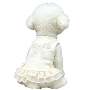 Cream White Ribbon Dress