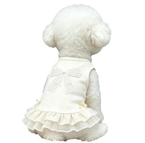 Cream White Ribbon Dress