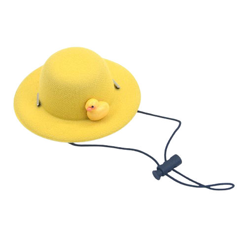 Ducky Sun Hat